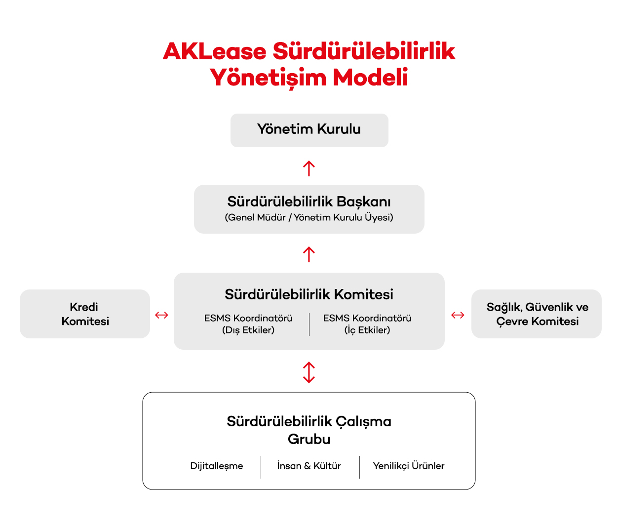 Sürdürülebilirlik Yönetişim Modeli